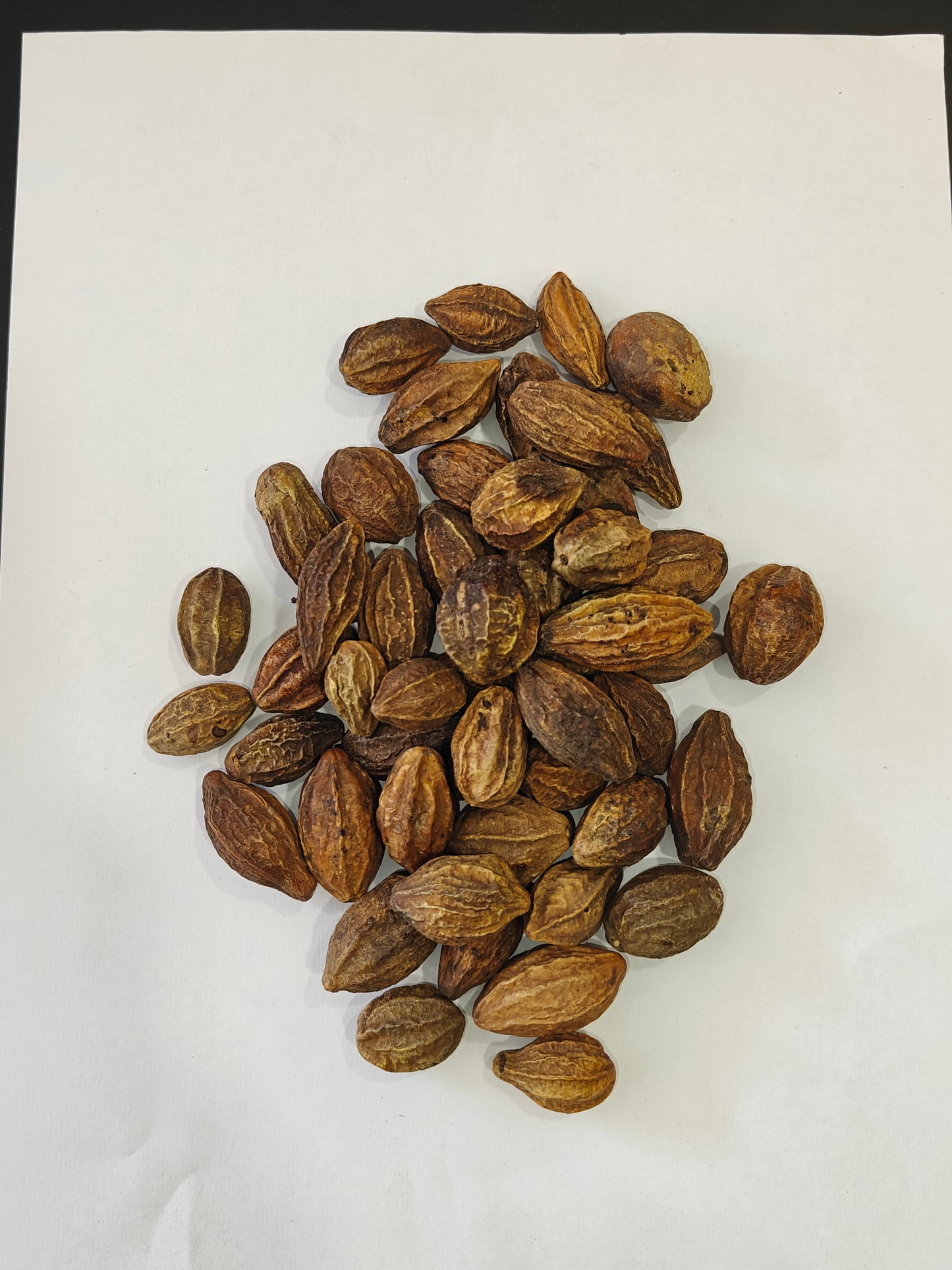 Badi Harad (Haritaki)