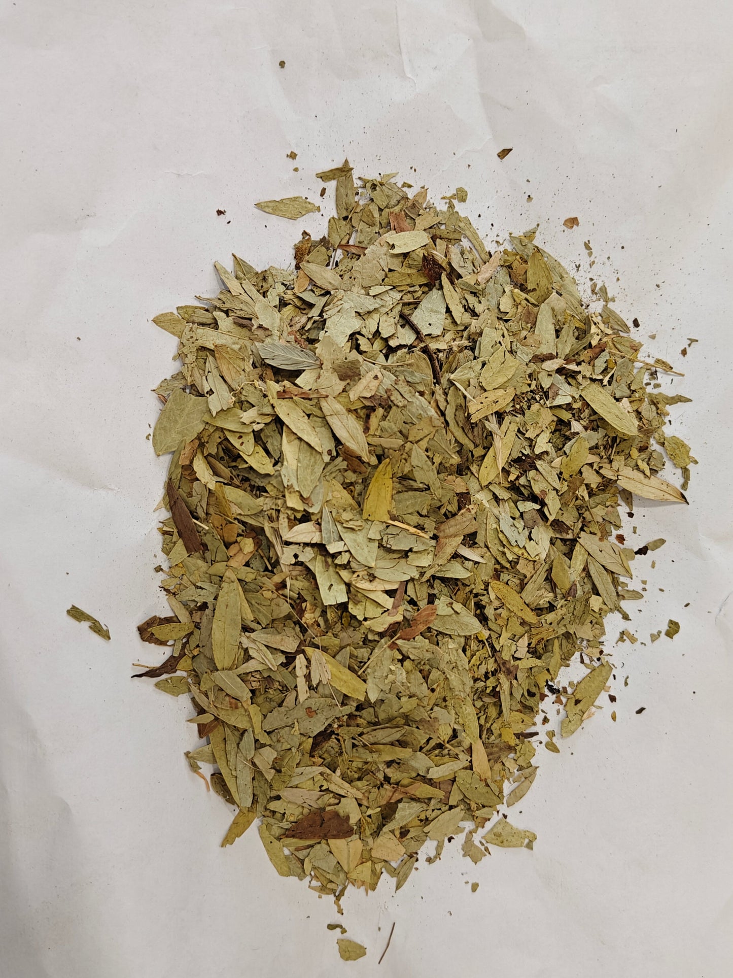 Swarnapatri | Senna Leaves