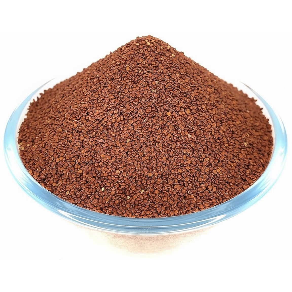 Lajwanti Seeds | लज्जावती (Lajjāvatī) |Chhui-Mui|Mimosa pudica Linn.|नम्रलता