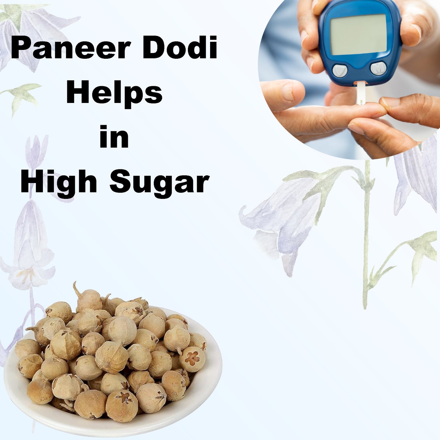 Paneer Phool (Withania Coagulans) | Paneer Dodi