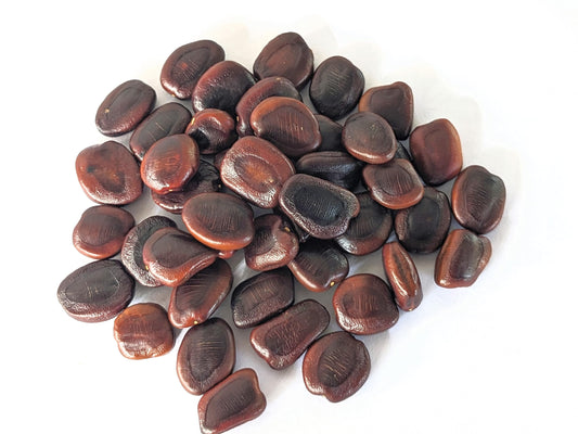 Raw Tamrind Seeds | Imli Chiya Chota