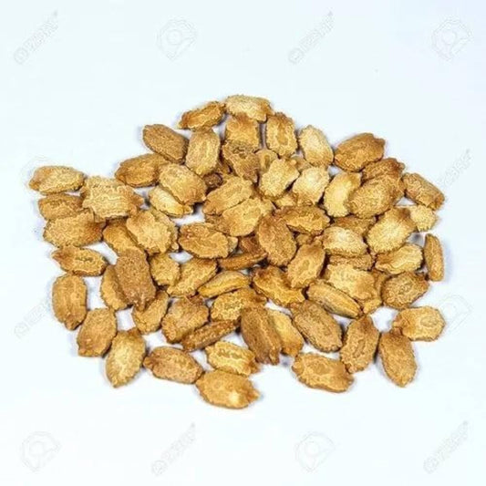Karela Beej | Bitter Gourd Seeds