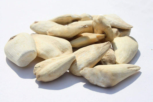 Suranjan Meethi | Suranjan Sheeri |Suranjaan Meethi