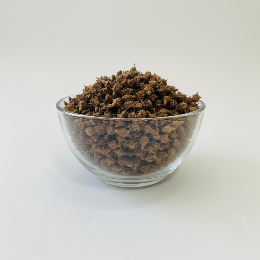 Gokhru (Bada) | Gokshura