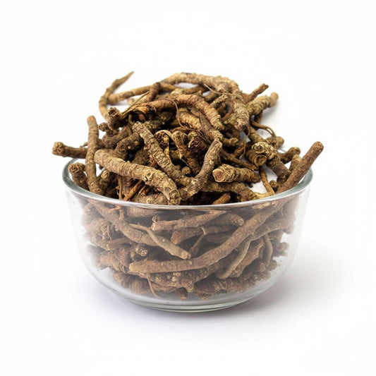 Kutki |Picroriza Kurroa | Hellabore | Katukarogani Root - Kadu - Katuka - कडू - कुटकी