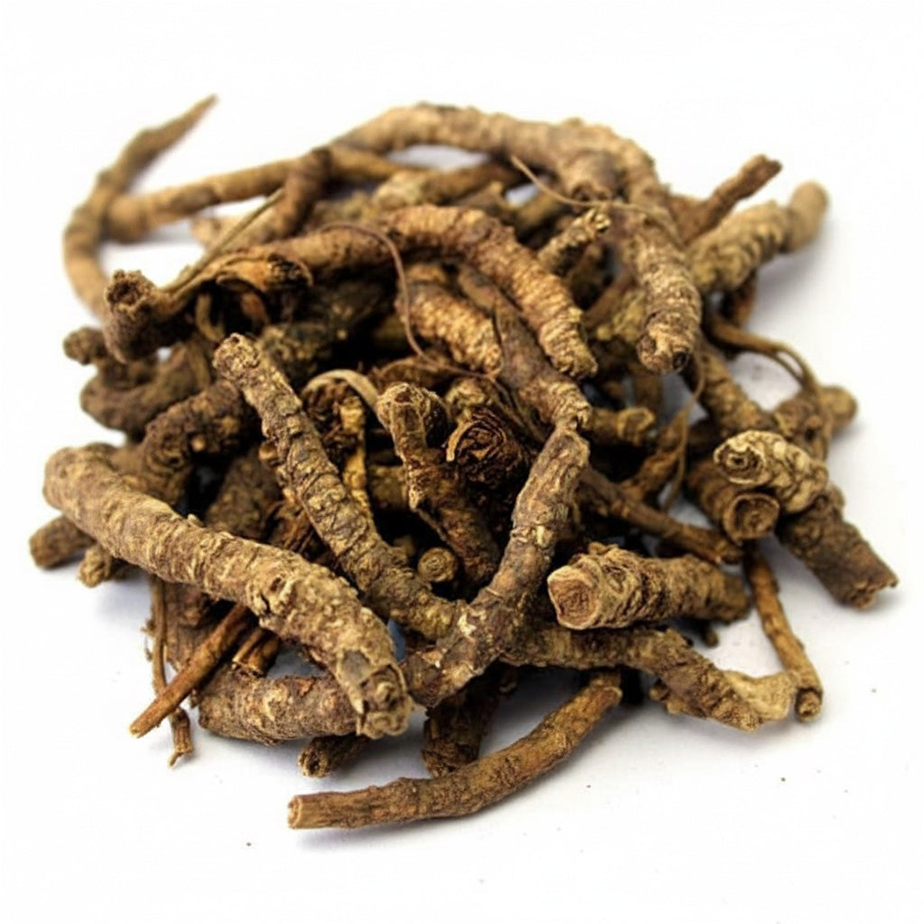 Kutki |Picroriza Kurroa | Hellabore | Katukarogani Root - Kadu - Katuka - कडू - कुटकी