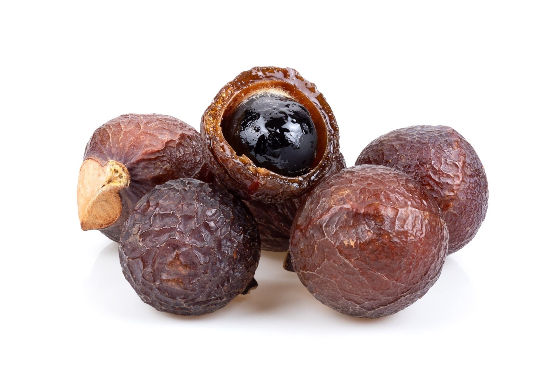 Reetha (Sapindus mukorossi) | Areetha | Soapnut – jaribooti.com